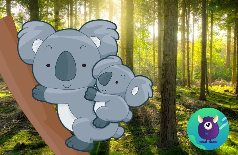 koala