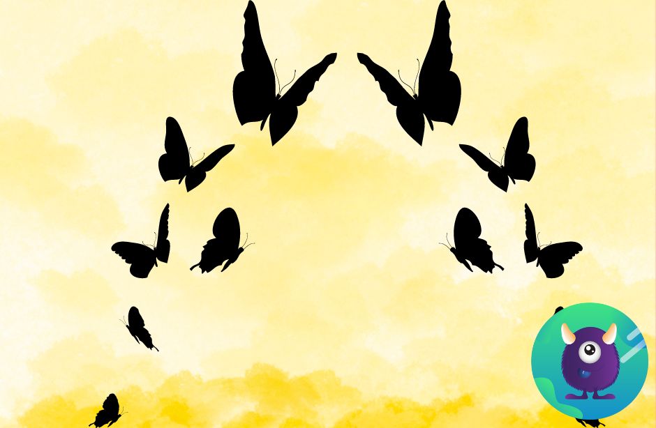 PAPILLONS