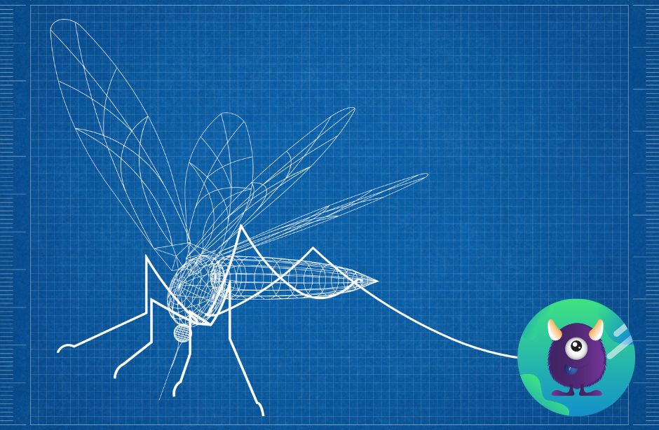 question mosquito