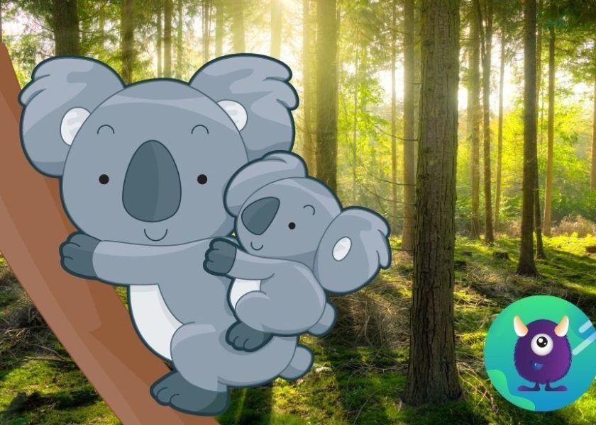 koala